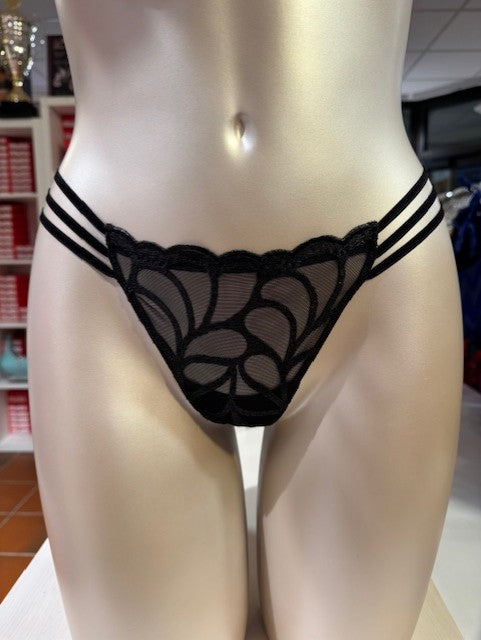 String APHRODISIA 0642162