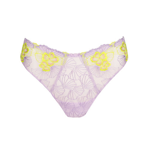 Prima Donna String Ixia